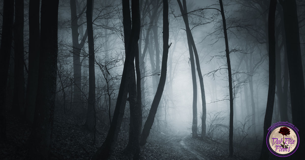 Same Dark Road, dark poetry by Lord Freakzilla and published by Dark Rose Poems