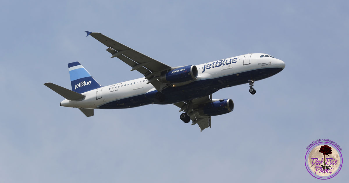 JetBlue 2, dark poetry by Lord Freakzilla and published by Dark Rose Poems